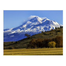 SHASTA VIEW POSTCARD