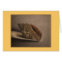 Shell 529 Blank Card
