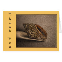 Shell 529 Thank You Card