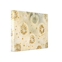 Shell - Conchology - Coral Gallery Wrap Canvas