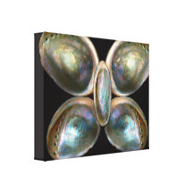 Shell - Conchology - Devine Pearlescence Gallery Wrapped Canvas
