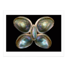 Shell - Conchology - Devine Pearlescence Postcards