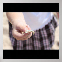 Shell in Hand Poster