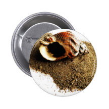Shell in the Sand Button