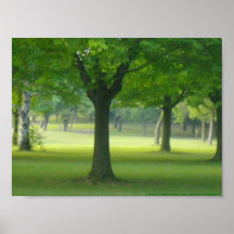 Shellis Canvas Print, Unframed "The Magic Forest"