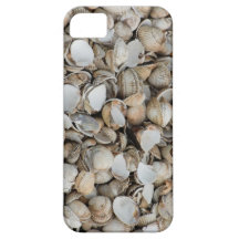 Shells background iPhone 5 cover