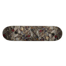 Shells of the Caribbean and Pacific Shell Skateboard Decks