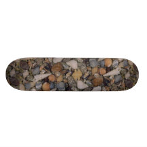 Shells of the World Shell Skateboard Deck