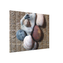 Shells on seagrass gallery wrapped canvas