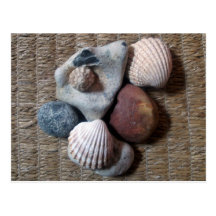 Shells on seagrass post cards