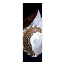 Shells Profile Card or bookmark Business Cards