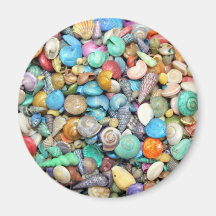 Shells, Shells, Shells Refrigerator Magnets