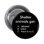 Shelter animals get:, A.  adoptedB.  kille... Button