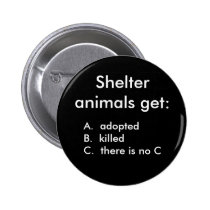 Shelter animals get:, A.  adoptedB.  kille... buttons