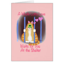 Shelter Cat Cards