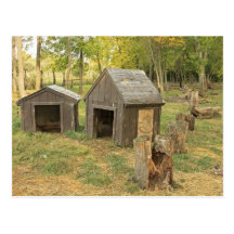Shelter for Farm Animals Postcard