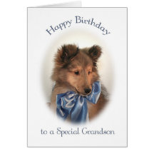 Sheltie Birthday Card for Grandson