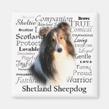 Sheltie Traits Fridge Magnets