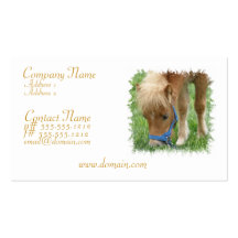 Shetland Pony Business Card
