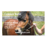 Shetland Pony Business Card