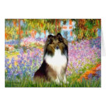 Shetland Sheepdog 14 - garden Card