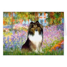 Shetland Sheepdog 14 - garden Card