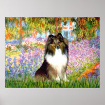 Shetland Sheepdog 14 - garden Posters