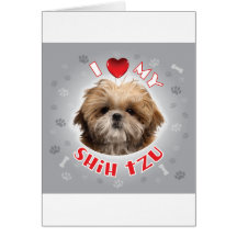 Shih tzu card