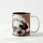 Shih Tzu Coffee Mug