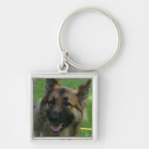 Shiloh Shepherd Keychain