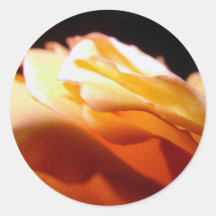 Shining Light Round Sticker