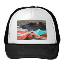 Shoe Clothing Hat