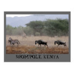 Shompole Kenya Postcard