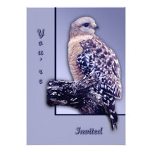 Short-tail Hawk Personalized Invites