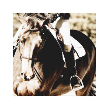 Show Horse Gallery Wrapped Canvas
