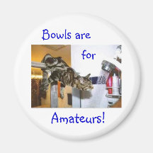 Shower Cat Refrigerator Magnets