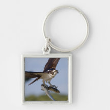 Showing Off Keychains