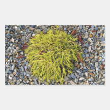 Shrubby plants on pebbles rectangular sticker