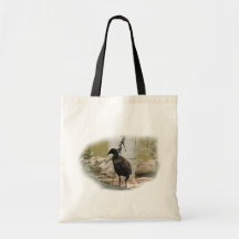 Shy Bird Canvas Bag