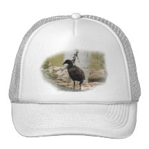 Shy Bird Trucker Hat