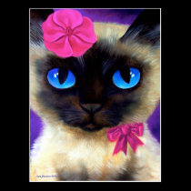 Siamese Cat Post Card - 155 Charming postcards
