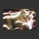 Siamese Sleeping In Sunshine canvas prints