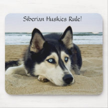 Siberian Huskies Rule Mousepad