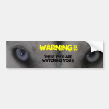 Siberian Husky Bumper Sticker