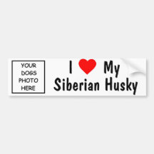 Siberian Husky Bumper Stickers