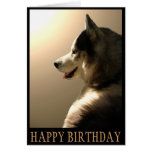 Siberian Husky Card / Alaskan Malamute Card