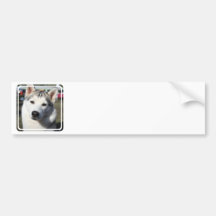 Siberian Husky Dog  Bumper Sticker