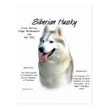 Siberian Husky History Design Post Card