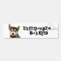 Siberian Husky on Board Bumper Sticker