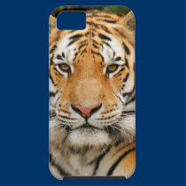 Siberian Tiger iPhone 5 case casemate cases